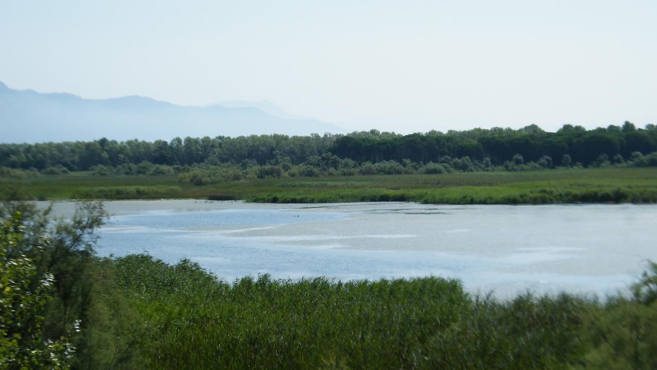 Velipojë Hotel Aquarius מראה חיצוני תמונה
